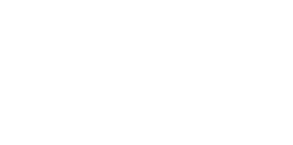 Stake India Logo